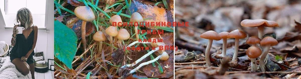 прущий лед Аркадак